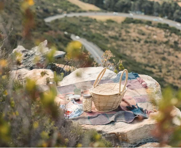 picnic sostenible