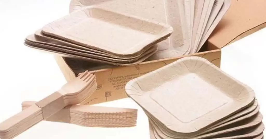 platos biodegradables