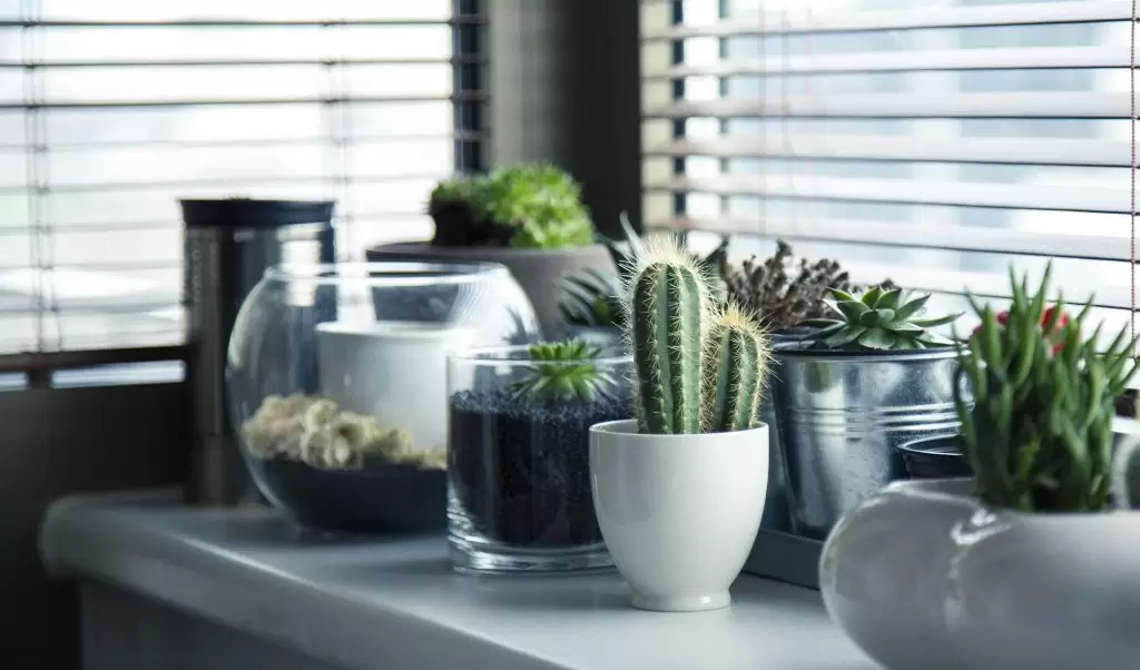 decoración ecológica
