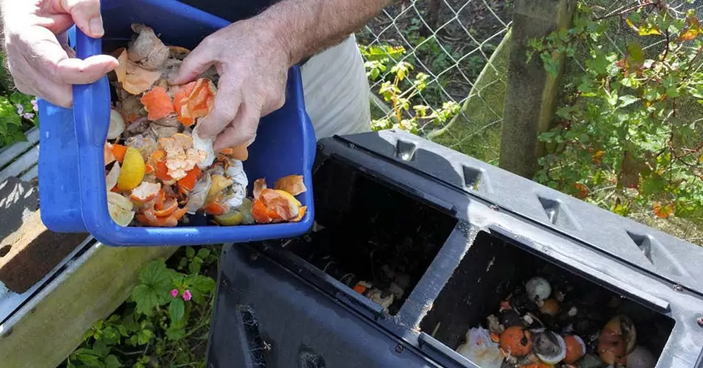 reducir desperdicio alimentario