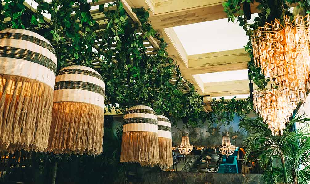 Green restaurant concerned about carbon footprint
