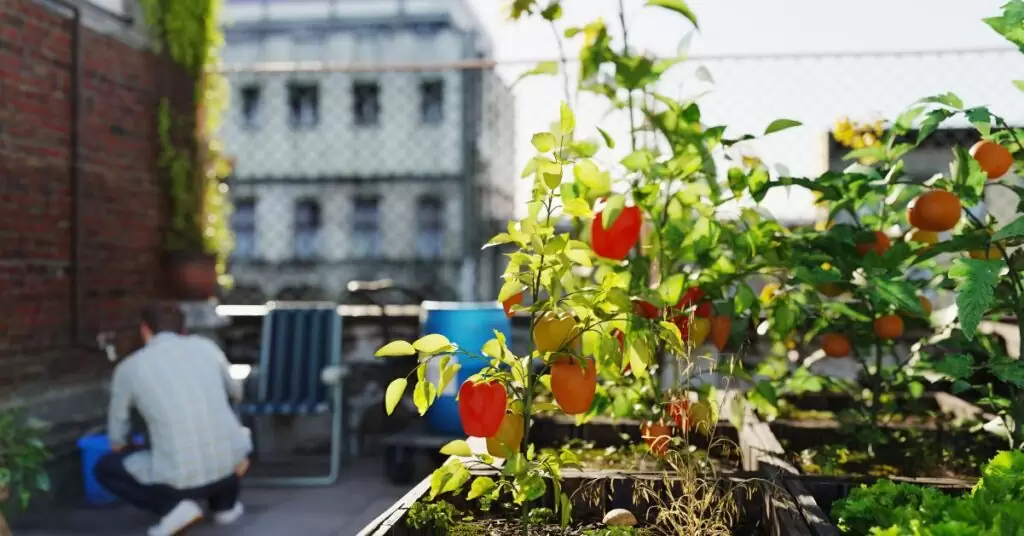 Superando los desafíos de implementar huertos urbanos en restaurantes