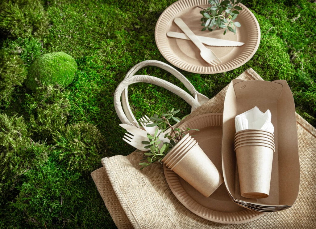 envases para picnic