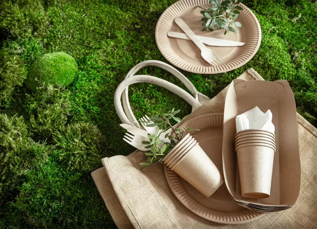 envases para picnic