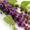 salvia usos y beneficios