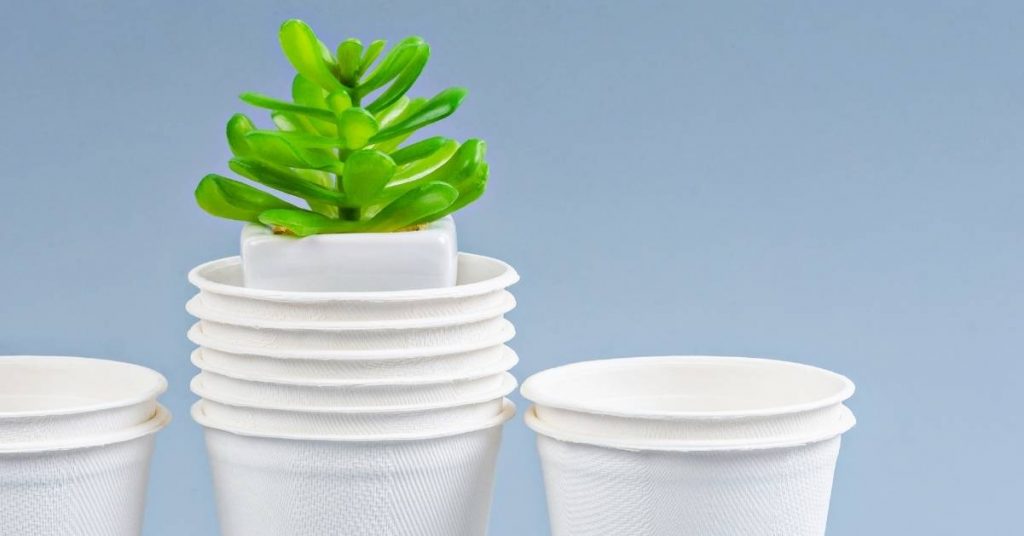 ¿Dónde comprar productos sostenibles?