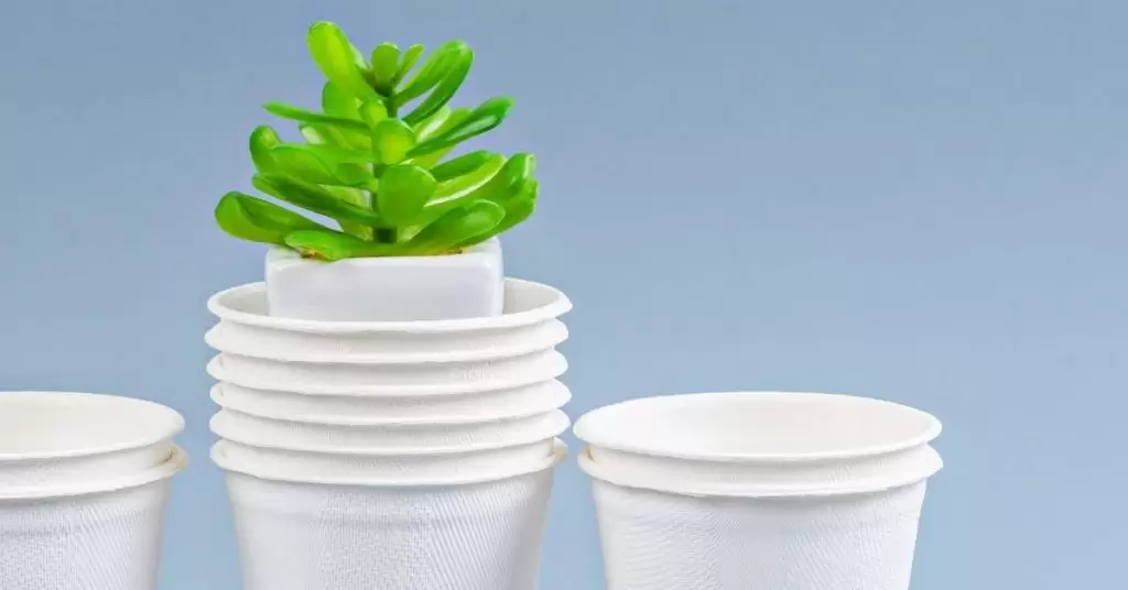 ¿Dónde comprar productos sostenibles?