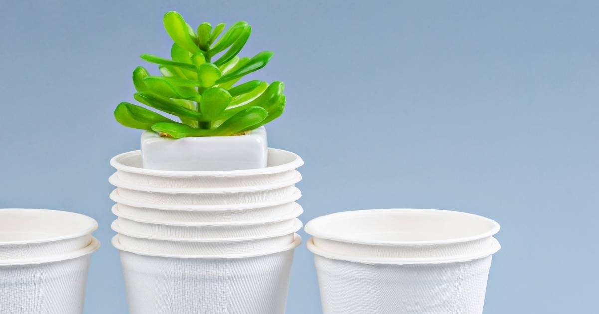 Where to buy sustainable products?