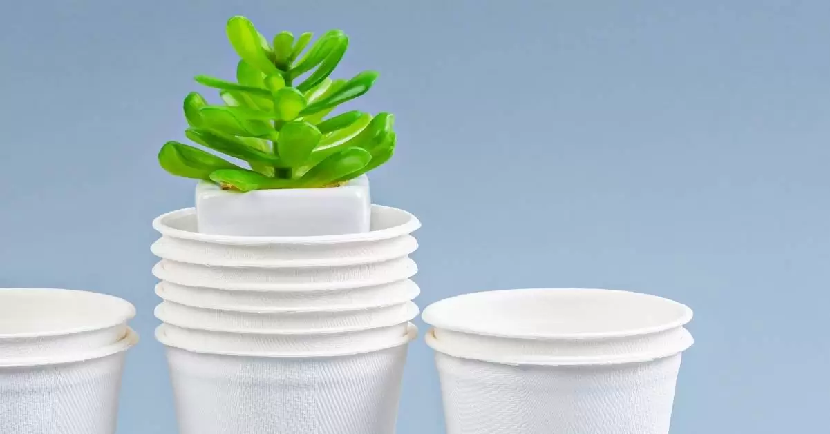 Where to buy sustainable products?
