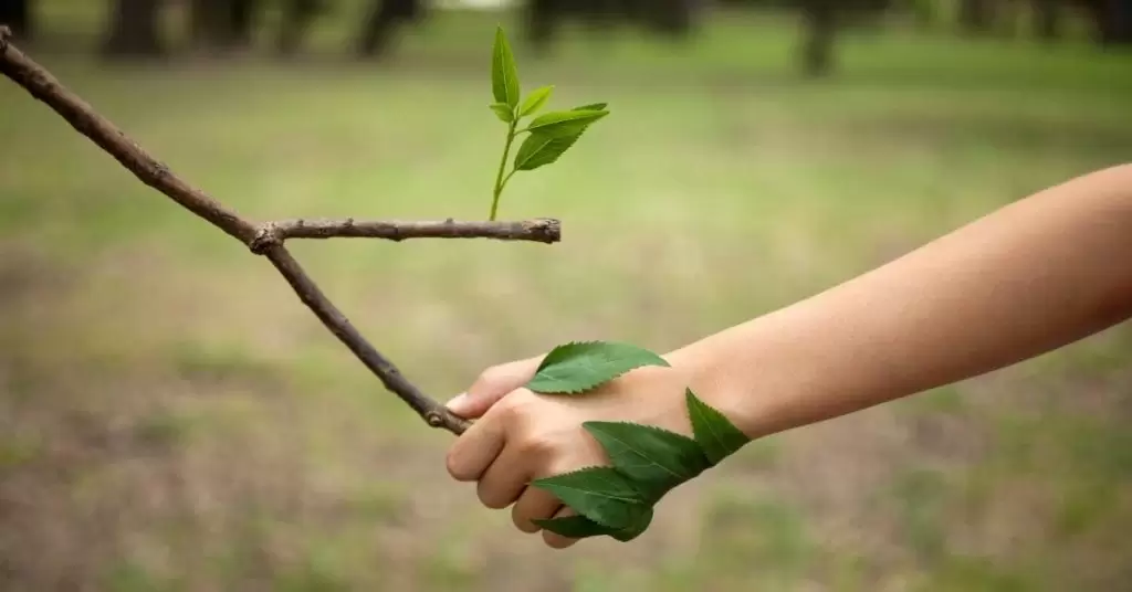 ¿Qué son las empresas sostenibles?