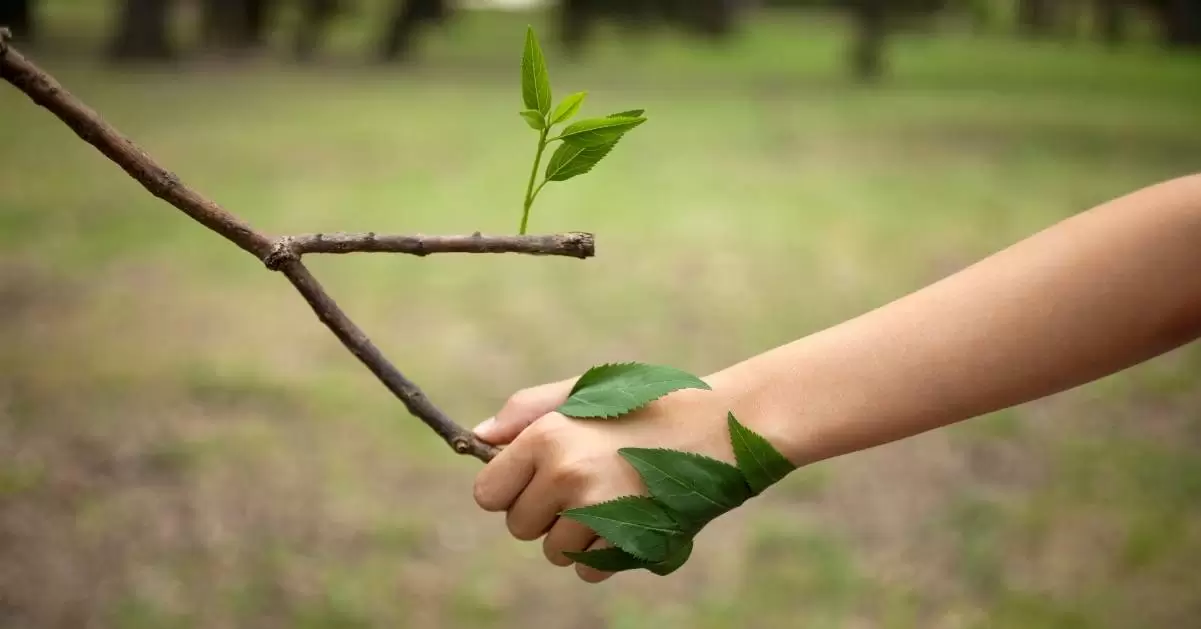 What are sustainable companies?